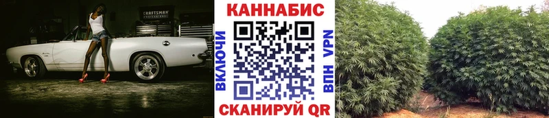 Виды наркотиков купить Тавда Гашиш  Меф мяу мяу 