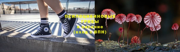 прущие крисы Армянск
