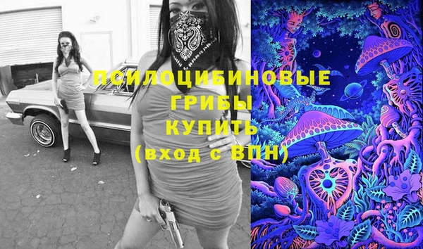 прущие крисы Армянск