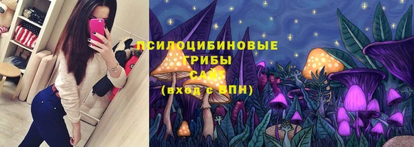 меф Арсеньев