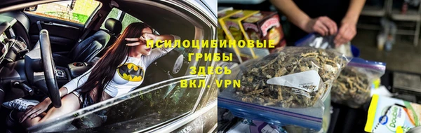 прущие крисы Армянск