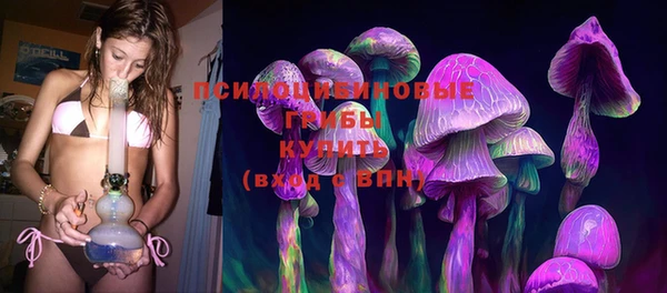 меф Арсеньев