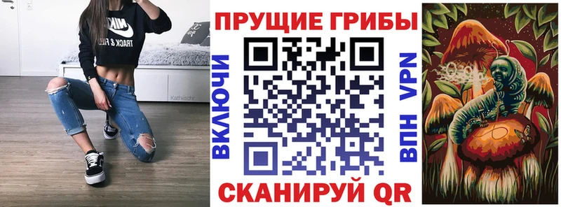 цены наркотик  Тавда  Псилоцибиновые грибы Cubensis 